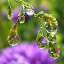  Loseff Yurij, , 63  -  21  2014       google+