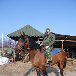 ������, ������������, 47 ���