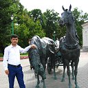  Mirzo, , 43  -  4  2013    