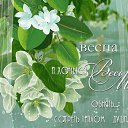 ���� ����, ���������, 61 ��� - ��������� 8 ����� 2014 � ������ ������ ��������
