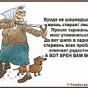 ���� ����, ������ - ��������� 28 ������ 2013 � ������ �������