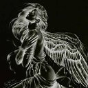 ���� ������, ���������� �����, 45 ��� - ��������� 14 ������ 2014 � ������ ������