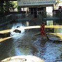 ���� �����, ��������, 52 ���� - ��������� 27 ������� 2013 � ������ ��������
