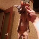���� ������, ������, 46 ��� - ��������� 5 ������� 2014 � ������ ���� ����������