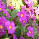 ���� Oleg, ������ - ��������� 1 ����� 2014 � ������ ������ ��������