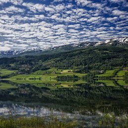 � �, ������, 44 ����