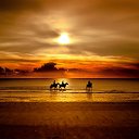 ���� �e� �, ������, 55 ��� - ��������� 4 ������ 2014 � ������ ���� ����������
