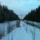 ���� ���������, ������� �����, 43 ���� - ��������� 23 ������ 2014 � ������ �������