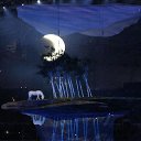 ���� ����������, ������, 44 ���� - ��������� 21 ������� 2014 � ������ ������ ��������� �������� ���������-2014�