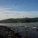 ���� �������, ����������� - ��������� 15 ������ 2013 � ������ ������� ������ɻ