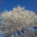 �����-2014 � �����������! �� ������� �������