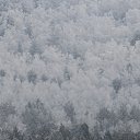 ����� �������� �� ������� ������� ���2014�