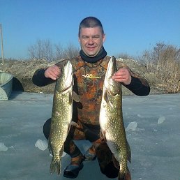 ������, ��������, 55 ���