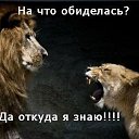 ���� ������, ������������ - ��������� 7 ������� 2013 � ������ ���� ����������