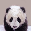 ���� ?Rjo, ������-����, 63 ���� - ��������� 21 ������� 2014 � ������ �ja�