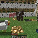 ���� �����, ������, 22 ���� - ��������� 13 ������� 2013 � ������ ���� ����������