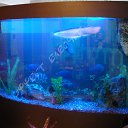 ���� �����, ������-��-����, 41 ��� - ��������� 27 ������� 2013 � ������ ���� ������....�