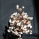 ������� �� ������� ���� ��������߻