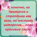 ���� ������, ���������, 60 ��� - ��������� 16 ������� 2013 � ������ ������ ��������