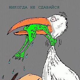 ���� ������, �����, 50 ��� - ��������� 13 ������� 2013