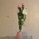 ���� Olga, �����������, 70 ��� - ��������� 26 ������ 2014 � ������ �����))))))�