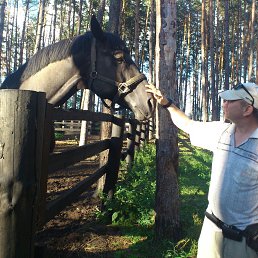 ���� �e��e�, ��������, 66 ��� - ��������� 10 ������� 2013