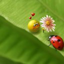 ���� Liksveta, ������, 38 ��� - ��������� 24 ������� 2014 � ������ ������ ��������