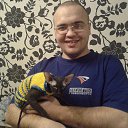 ���� �����, �����������, 42 ���� - ��������� 19 ������� 2013