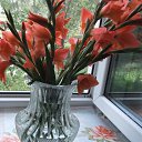���� �����, ������ - ��������� 8 ������� 2013 � ������ ���� ����������