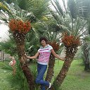  @i@ !!!,  -  27  2013    
