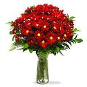 ���� ������, �������, 56 ��� - ��������� 20 ������� 2014 � ������ ������ ��������