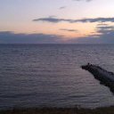 ���� ����, �����, 49 ��� - ��������� 29 �������� 2013 � ������ ���� ����������