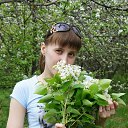 ���� �����, �������, 41 ��� - ��������� 14 ����� 2014