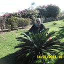 ������ 2014 ��� �� ������� ���� ����������