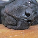 ���� ���������, ������, 54 ���� - ��������� 6 ������� 2013