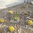 ���� �������, �����������, 54 ���� - ��������� 8 �������� 2013 � ������ ���� ����������