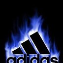 ���� ����, ���������, 29 ��� - ��������� 18 ������� 2013 � ������ ���� ����������