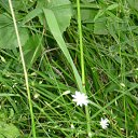 ���� ����, ������, 51 ��� - ��������� 21 ������ 2014 � ������ ���� ����������