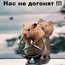 ���� ���), �����������, 24 ���� - ��������� 10 �������� 2013 � ������ ���� ����������