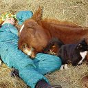 - , ...   !    ,   !