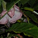 ������� ������! �� ������� ���� ����.�