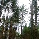 ���� ��������, �����-���������, 54 ���� - ��������� 18 ������ 2014 � ������ ���� ����������