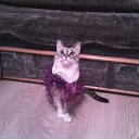 ���� ����, ������, 55 ��� - ��������� 25 ������ 2014