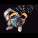 ���� ����_�_���_, ������������, 32 ���� - ��������� 22 ������� 2013 � ������ ���� ����������