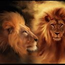 ���� Yura, ���������, 53 ���� - ��������� 4 �������� 2013