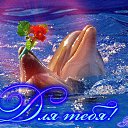 ���� ����, ��������, 53 ���� - ��������� 12 ������� 2013 � ������ �������