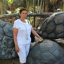 ���� ������, �������, 80 ��� - ��������� 24 ������ 2013 � ������ ���� ����������