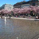 ���� Ilia, ���������, 73 ���� - ��������� 5 ������� 2013 � ������ �Stockholm�