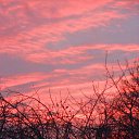 ������� ���� �� ������� ������ ������ ����