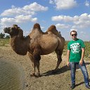 ���� �������, ���������, 35 ��� - ��������� 9 �������� 2013